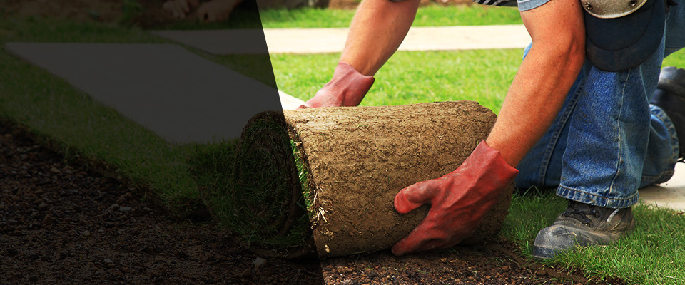 Thief River Falls Landscapers